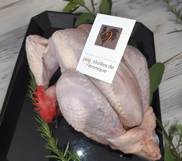Poulet fermier de Véronique, élevé en plein air, prêt pour la vente directe.