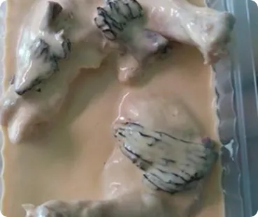 Poulet fermier rôti à la sauce crème et herbes fraîches.